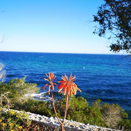 Villa La Zenia 25 Playa Flamenca Eksteriør bilde