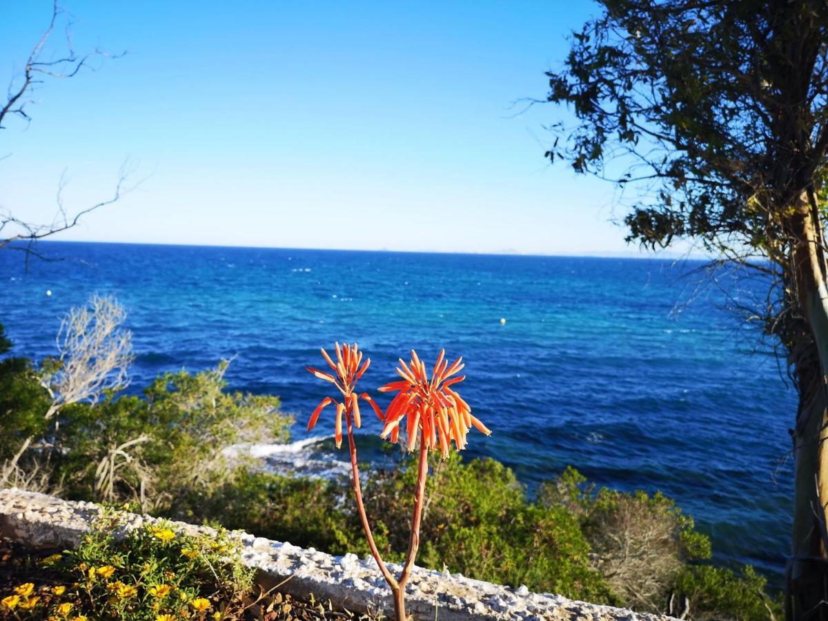 Villa La Zenia 25 Playa Flamenca Eksteriør bilde